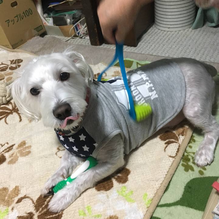 29320b55 66b8 4d26 b50e 2c98f2756e3f 1542392142999