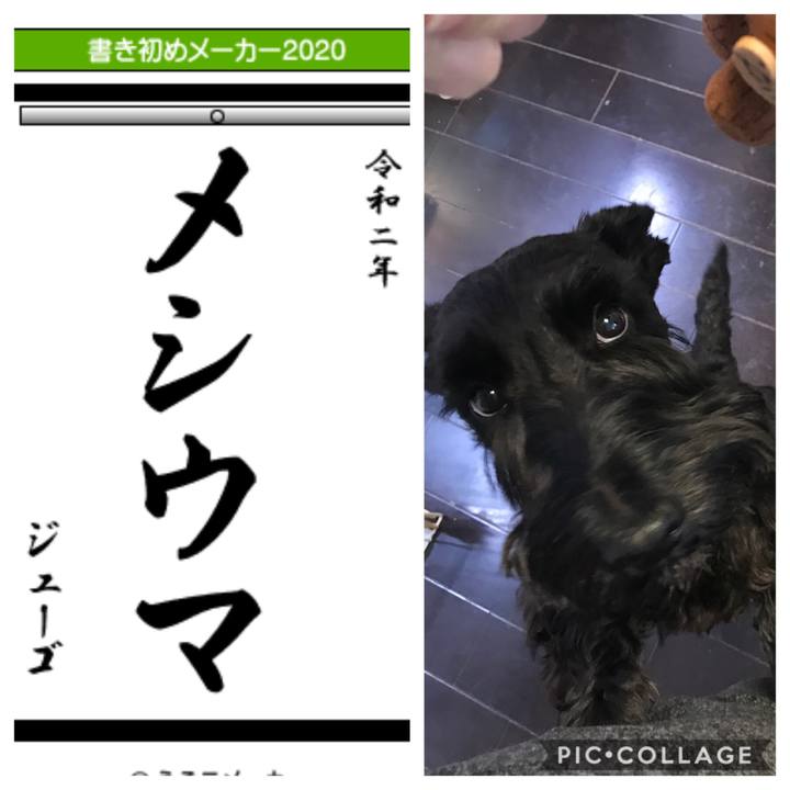 29321858 8aa9 472c 93f8 4fd77f6a0e66 1577918716011