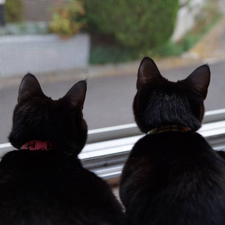 2932208a 338f 4e0a 90e3 19a42f2e921e 1544485370589