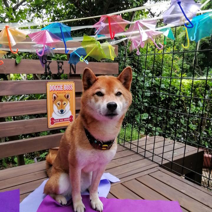 293274d4 9df0 4b30 89d3 1ac3bb46de8c 1622776261314