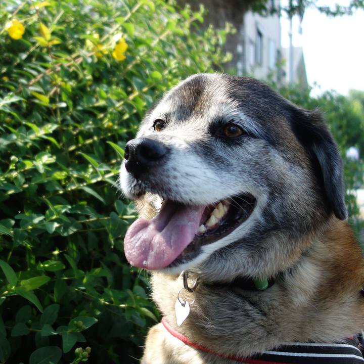 29329ba8 3562 45b0 a320 d49ec938d861 1638493122921