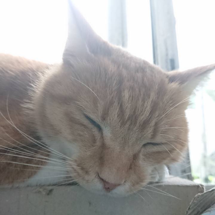 2932da6c 2065 4327 906d c27301519af3 1599984061889