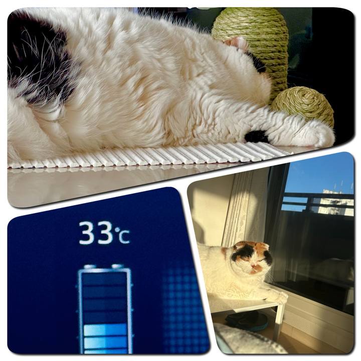 29330d16 ea44 4811 a151 65fe8aacb89a 1719578279259