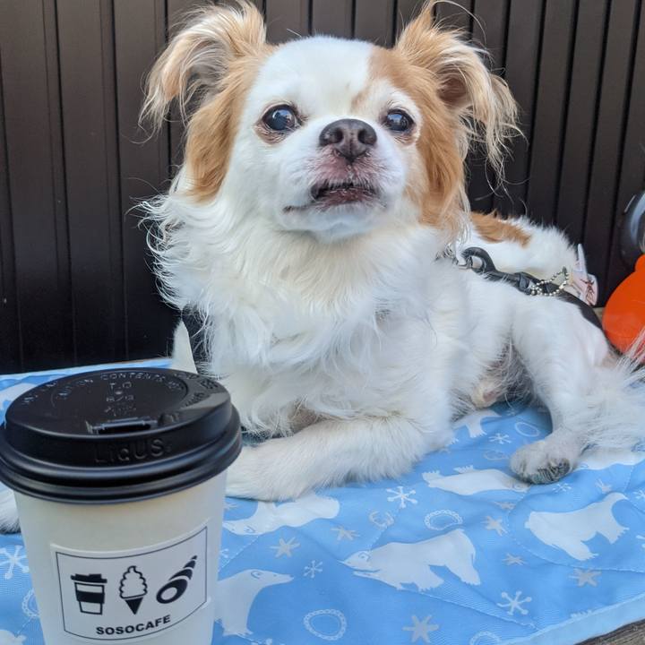 293362d3 30b2 49ae a803 23f862853a64 1621769272765