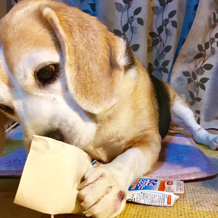 2933d90a a3c9 4711 a4dc 8ab4b38e49a1 1538921079117