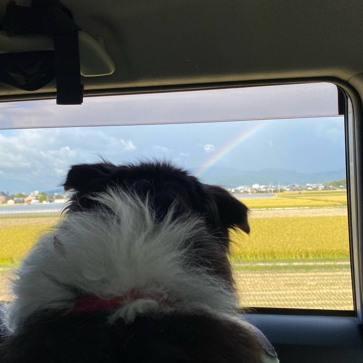 2933e243 1c23 48e5 b976 1eea998abeb3 1666569552709