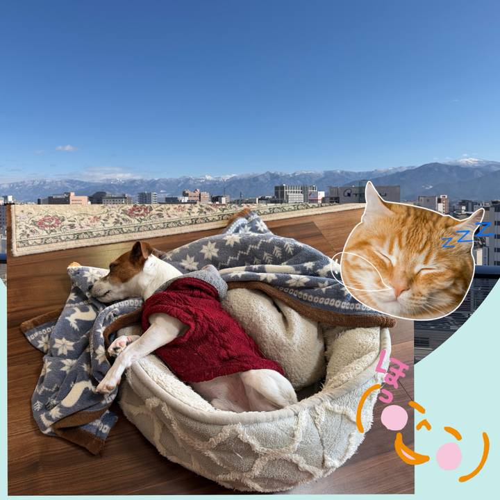 2933fe32 aff0 4027 b790 137211897672 1767495558384