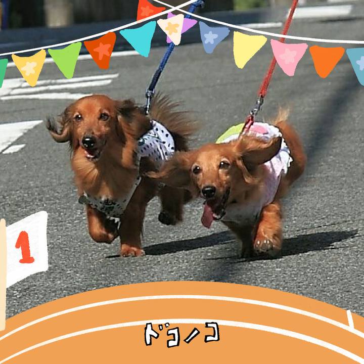 2933fff2 0a82 4e04 8f6e 196fa9e50719 1761126818923