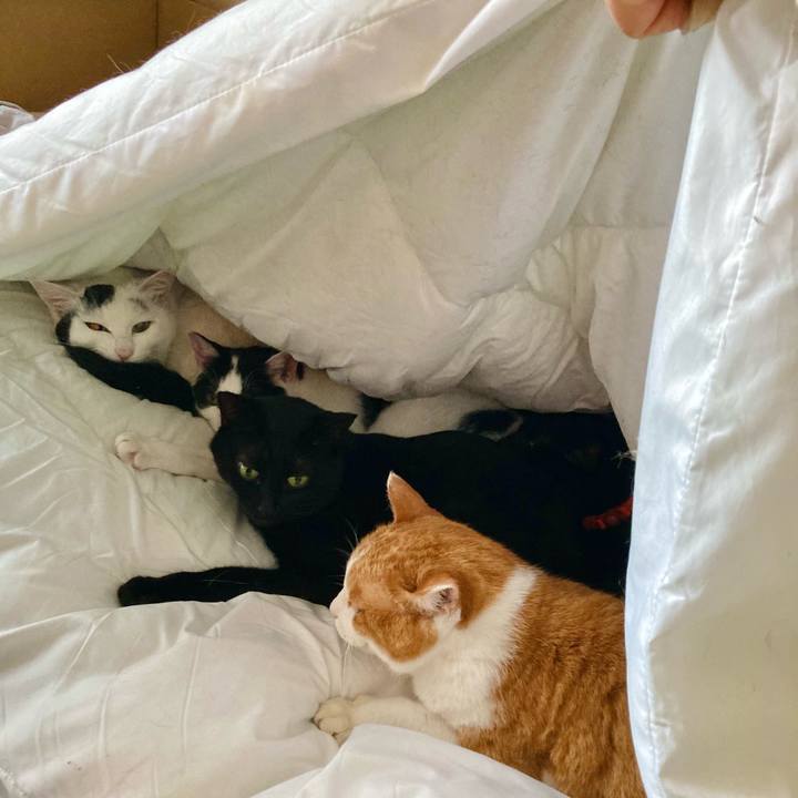 29344e35 132f 414d bacb fc5e093ac5f0 1700982104844