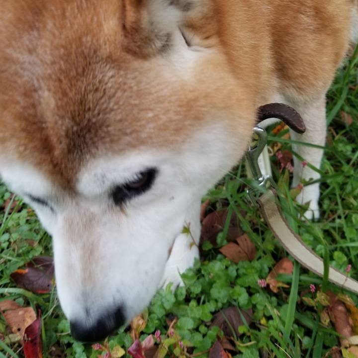 2934507e 4a76 4795 9814 b847f1648b86 1666420095369