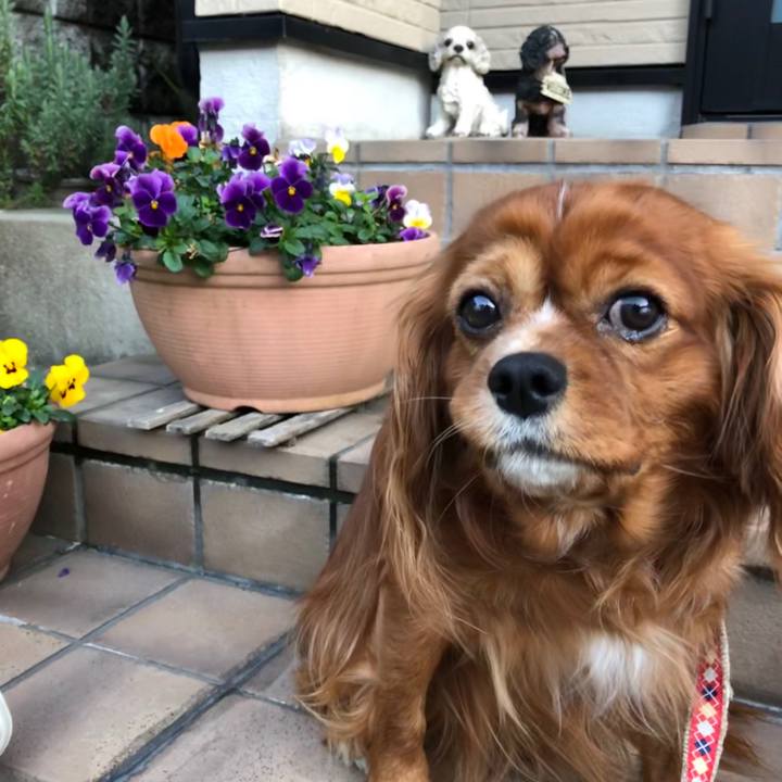 293475a9 283c 40f9 b2b1 3794dc8b9600 1583668175255