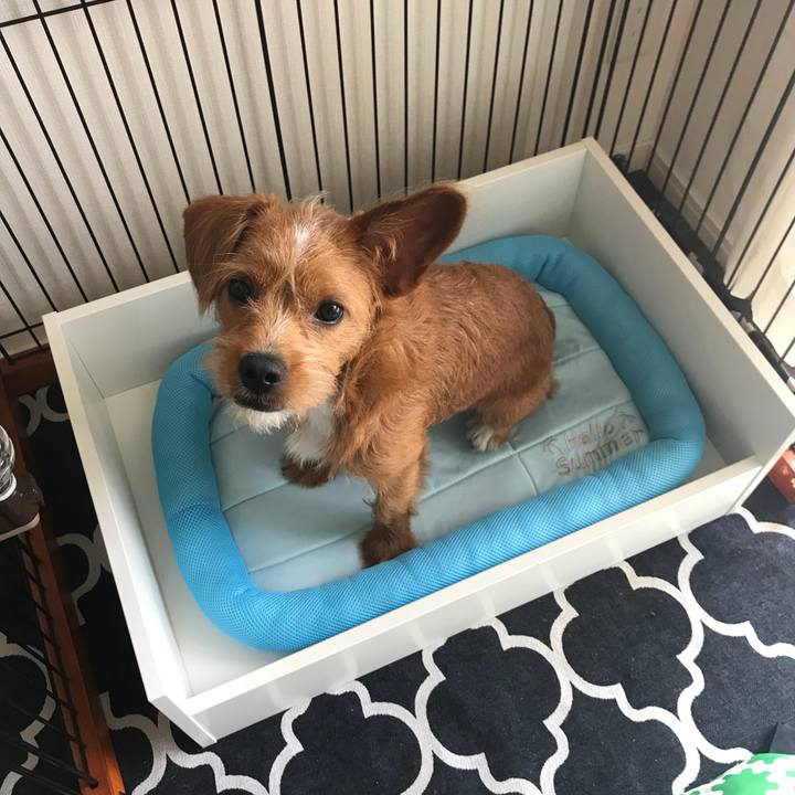 2934cacc bb79 4df1 b53e ff8fbf43810f 1530324530391