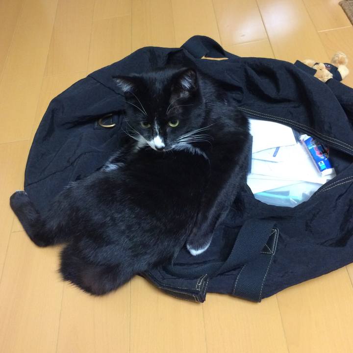 29350042 9794 4447 874f 21f5298af2d7 1514694238418