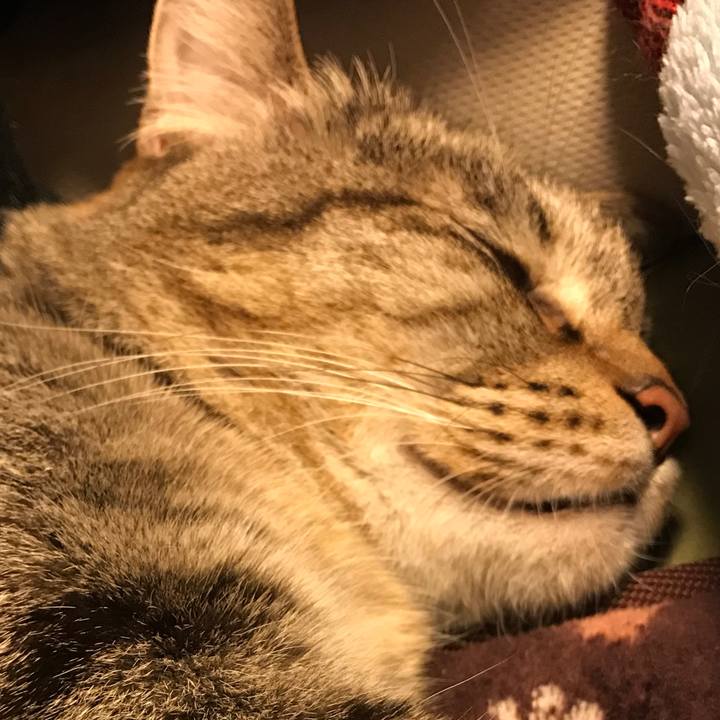 29356917 8e41 4dd4 8f21 fc9f9991bd45 1562409600002