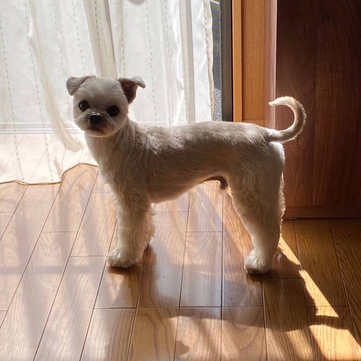 29357c4e cc81 4eb0 8cd1 0aab8b738ad1 1589675040360