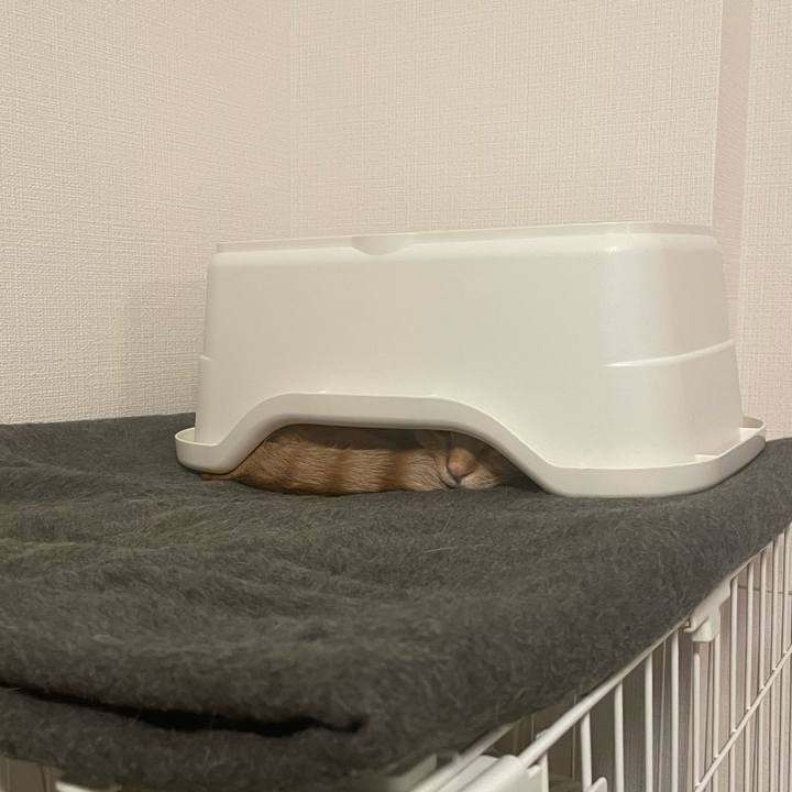 29358120 580e 44a0 95da 211ec0e6fb1b 1767267300335