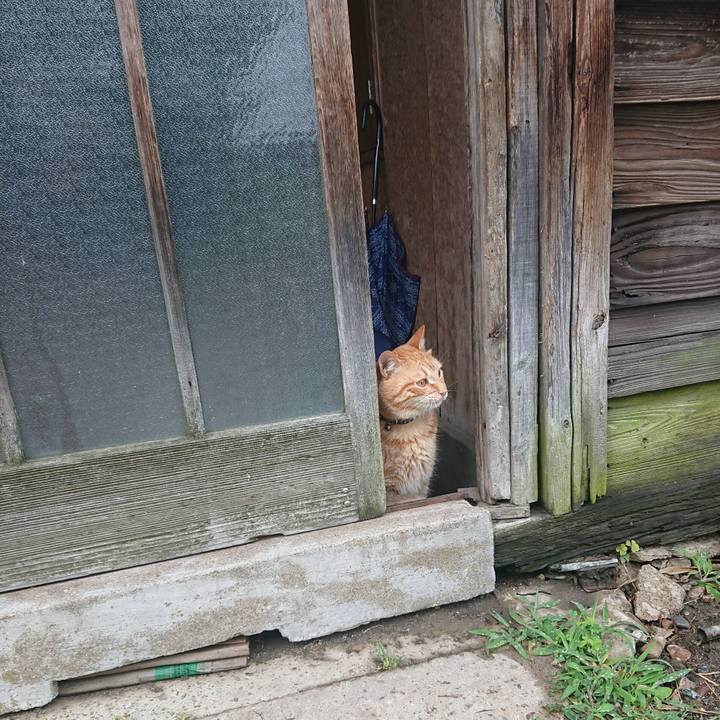 2935f6d0 00d2 467e 816c 316908615f6b 1654638585082