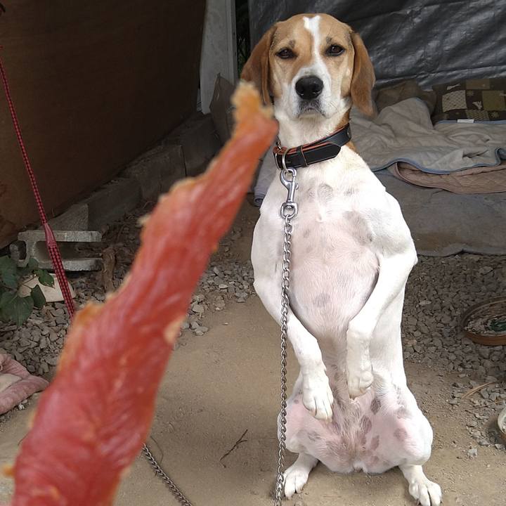 293621c5 89a9 4b46 9573 4e4f06d3ee06 1633498385796