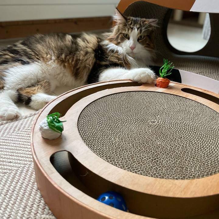 293630ec 18e9 4483 a35a 760a3229e68a 1656367555282