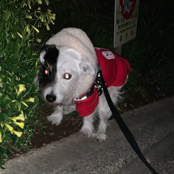 29367310 e52b 4291 b0ac 52649a0e475a 1640435985545