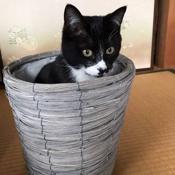 2936ee69 7b55 48dd bc73 6409939656be 1510630898864