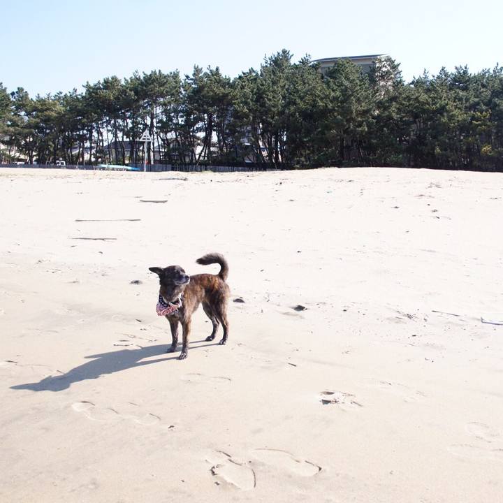 293703cb a415 49a7 a9fc e6e5fa9fb112 1554953003239