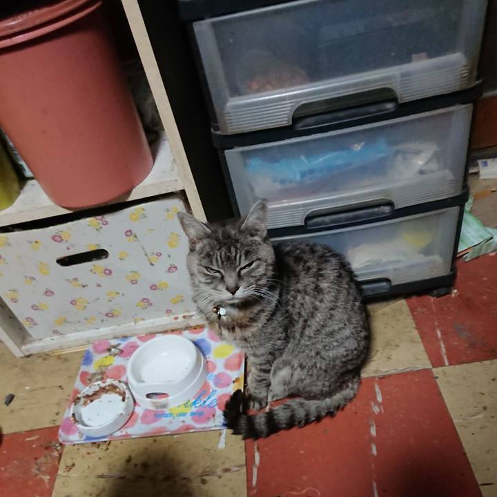 29372f9f c299 4d3b 8239 60a8630a4e77 1575920800842