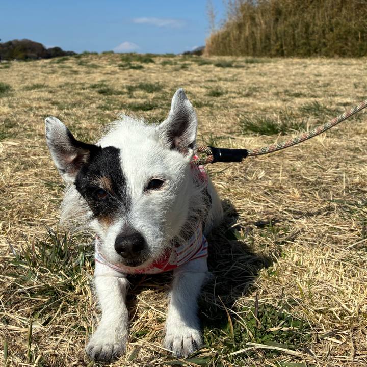 29374fb7 9c4b 49ef 8c03 cb2ff83db2bd 1773537046306