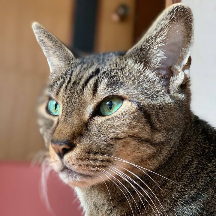 29376ee2 fd06 4b0a ae41 c526ac4e6956 1580347253653