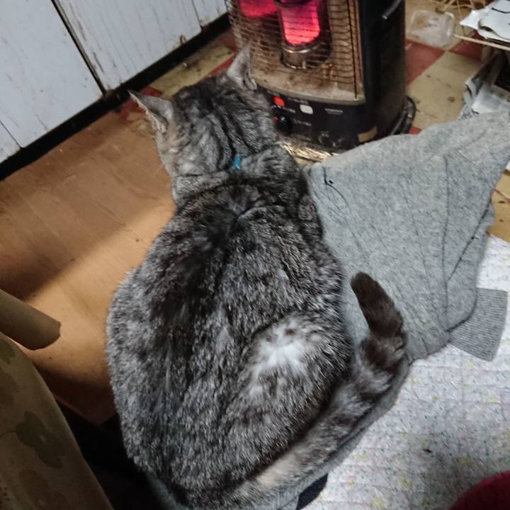 2937b2c3 ccb1 44dd 8a48 b410042f15db 1576705335073