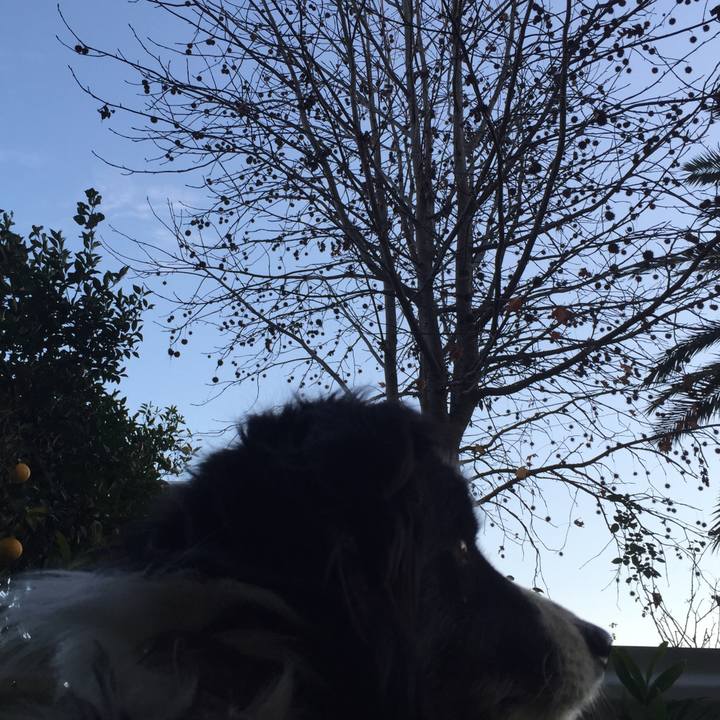 2937f75f 0120 40a3 96d3 d4349c0052f8 1544431170694