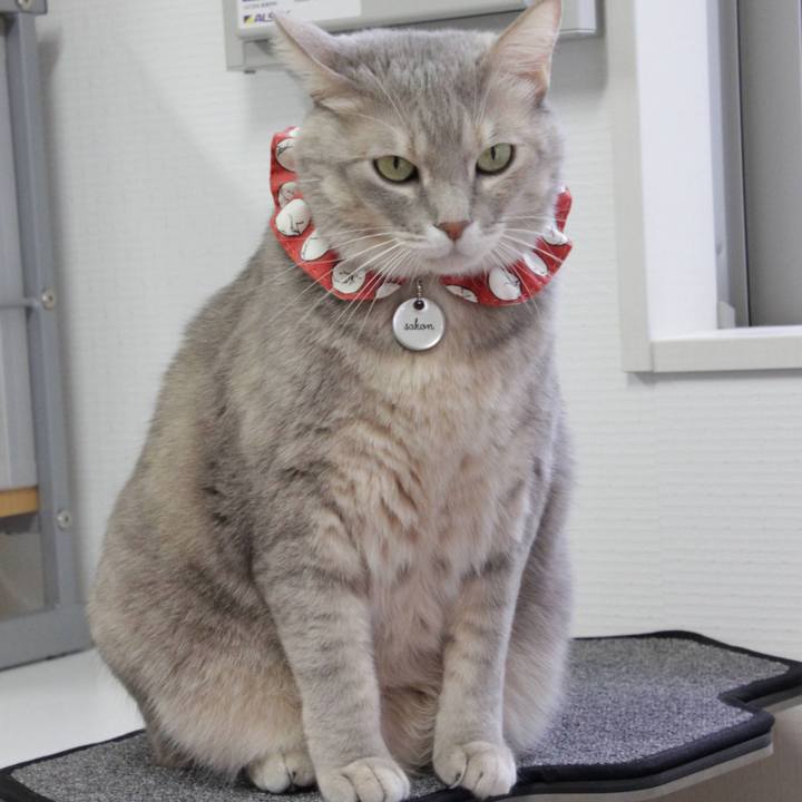 293802f2 907e 4037 84ce 7718819e1677 1672035143027