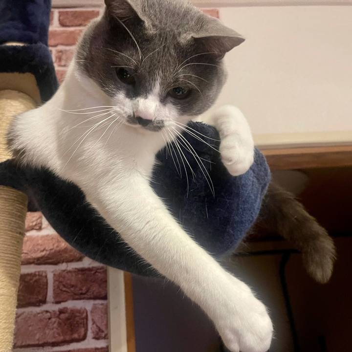 29380dd7 6c1f 407e 9c73 757c2faa8cbf 1646830229910