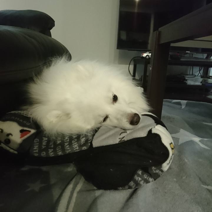 29382aa2 d9cf 4ecc bfce ac01c3b54728 1591674324568