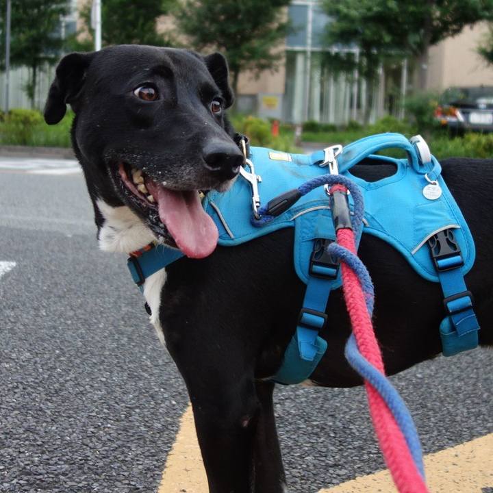 29384744 6745 4698 8663 654d91331c1b 1624355788099