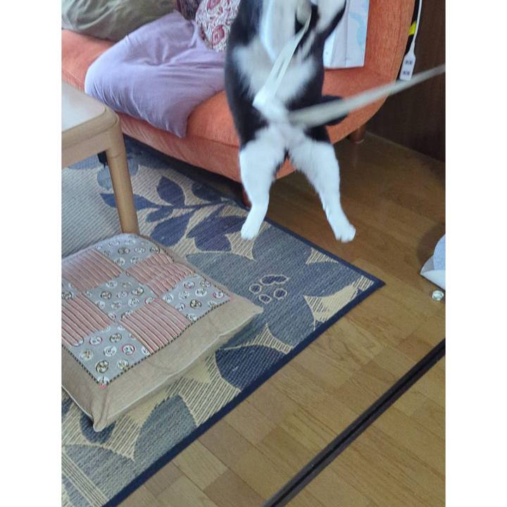 2938677d 6462 4016 9ac1 dc47f0168cfb 1719299972953