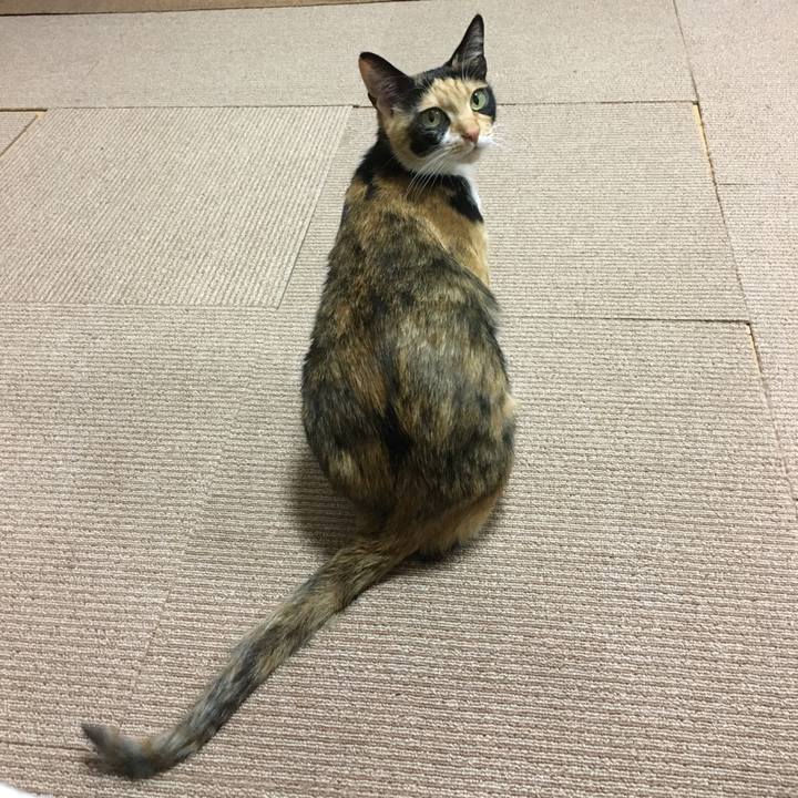 2938a1aa e312 4b13 bca0 79aa5d2812de 1517659024769