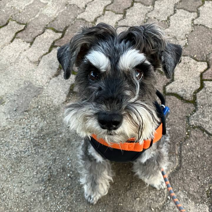 2938a1b0 2cae 4db0 a88b 45c8c8990c2e 1731563127542