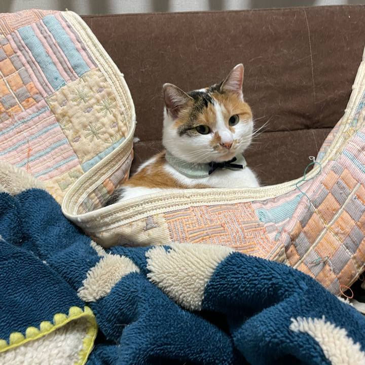 2938b4de 7d46 4771 9f03 baac38cf238f 1669186810452