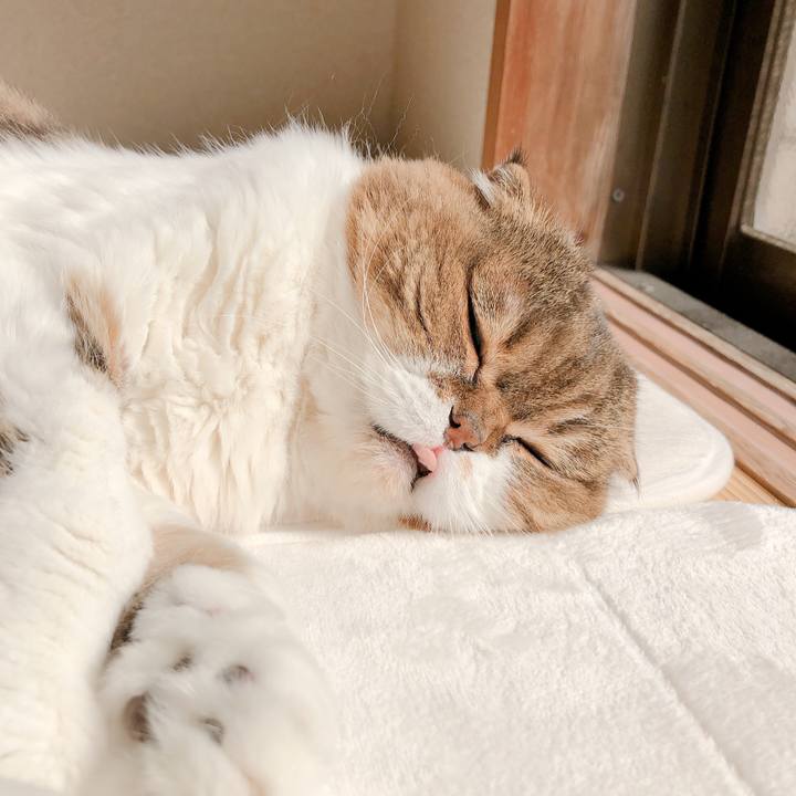 2938c1a9 e34e 47f9 b797 90cd9dc8362e 1586055716621