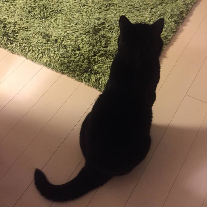 2938cd78 e522 437b abb7 811ebfd100f2 1526043361263