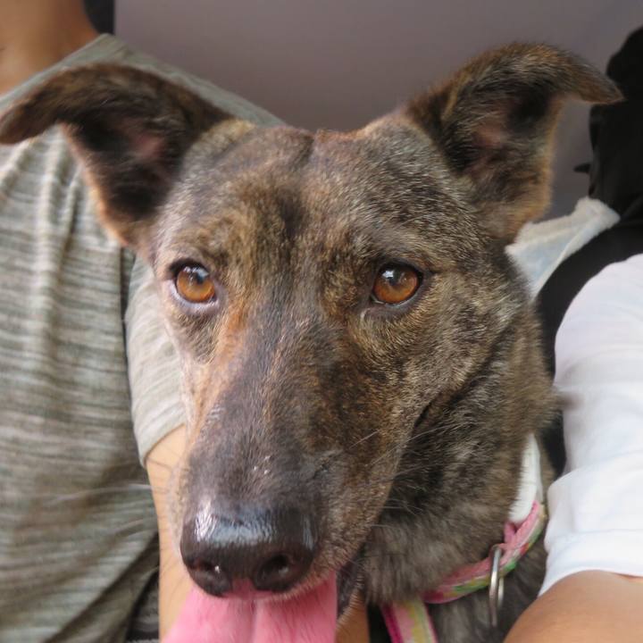 29392aa7 64c4 426a 8f73 c8106d1dbb08 1558007507826