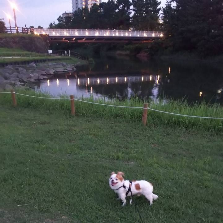 29395b4a 9d21 4ac3 a121 0b6678d0c29d 1597576947073