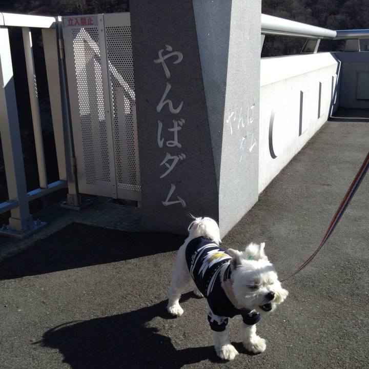 29398a10 d9dd 4ccc 9c15 af7879eee1c0 1704804789105