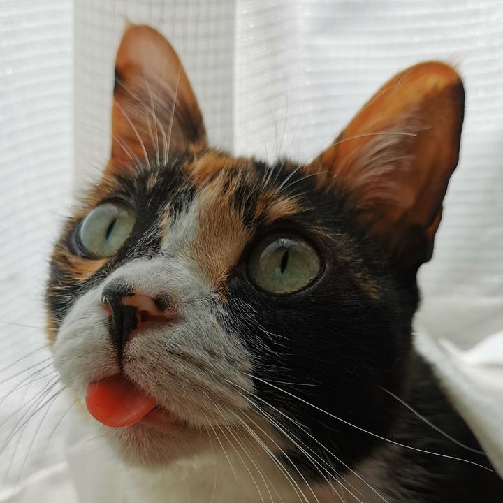 29399cf4 fdd4 4808 b217 55682ecb196a 1618323735068