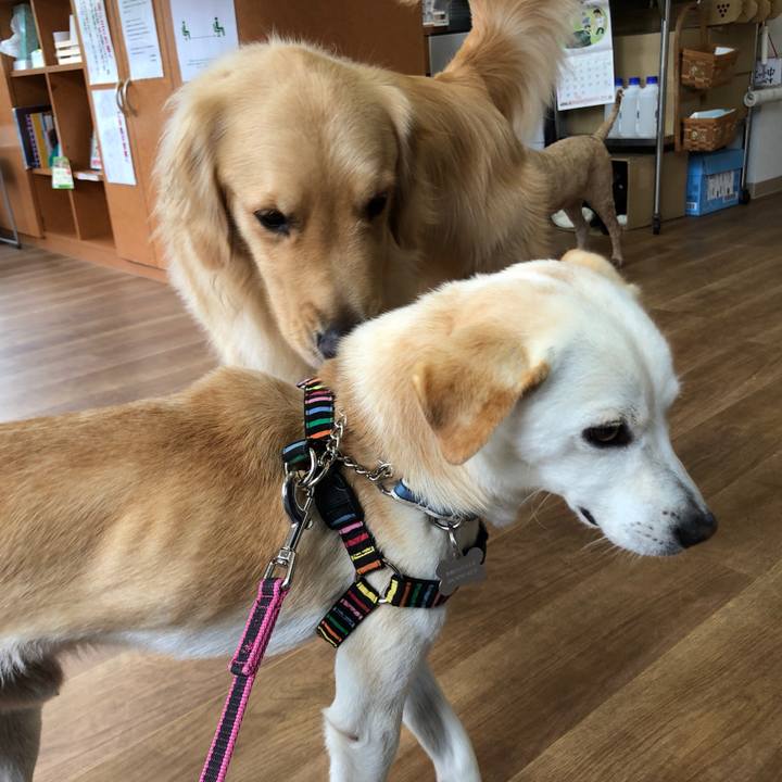 2939a346 c35f 4b77 a519 8652a5fc0b94 1624543813538