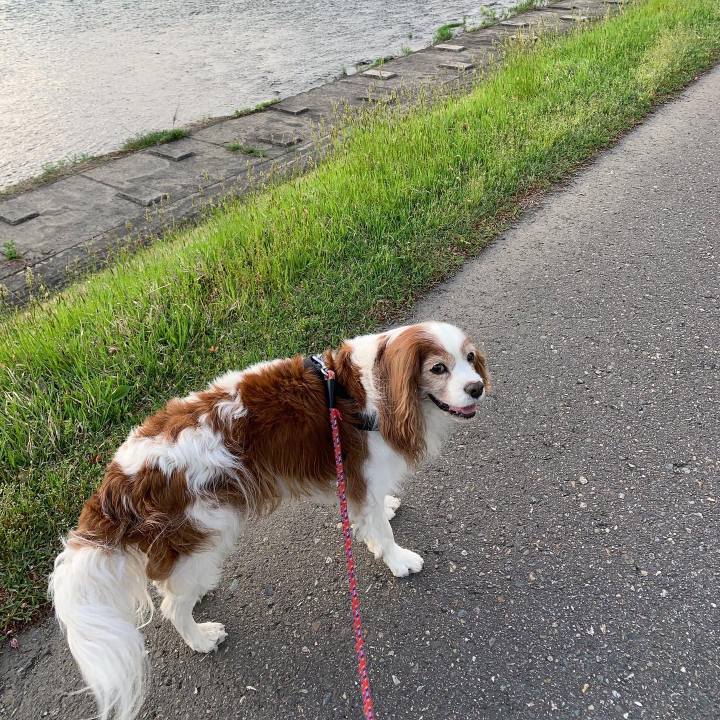 2939bad6 4a4b 49a1 bc90 c85029e654db 1621114453054