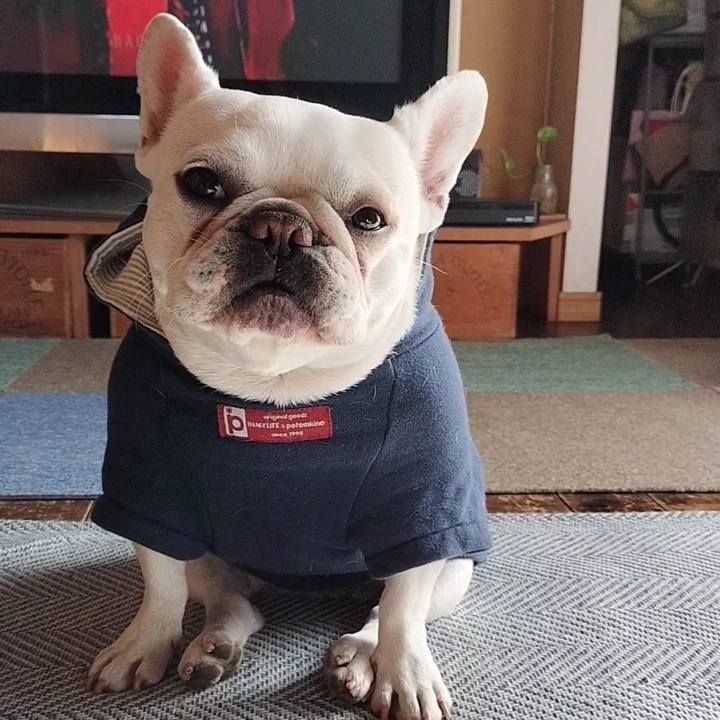 2939d225 f449 40e1 ab2b 1d9f5680c658 1674189364027