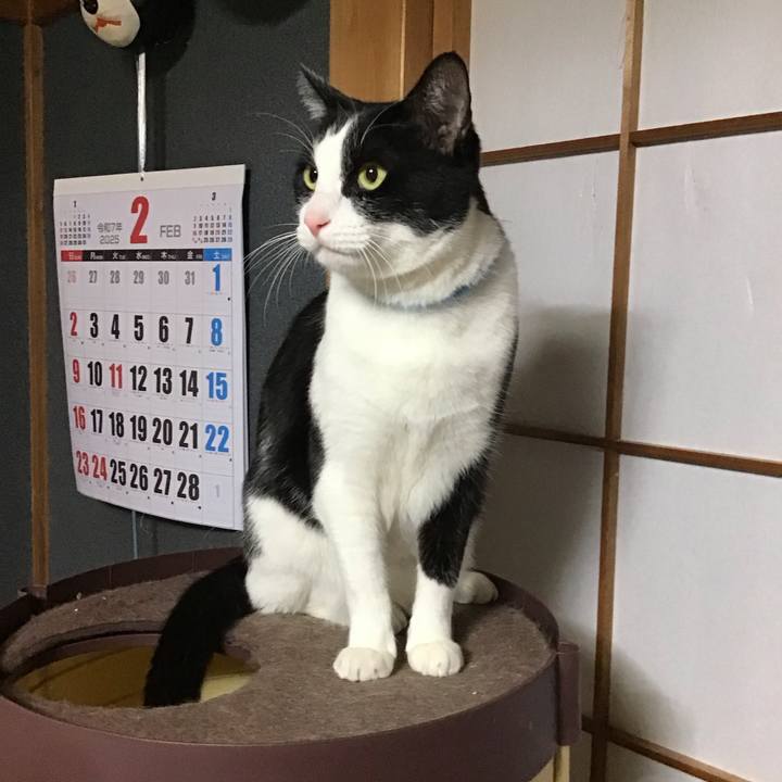 2939ff2f d3af 4e29 9f8f 7915019a7bdc 1740390781734