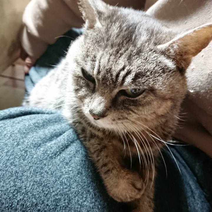 293a04a6 8976 4ee9 8c68 2415ccde07e0 1584650832633